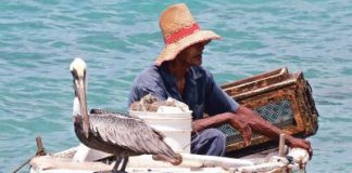 Chenchen a bai sosegá