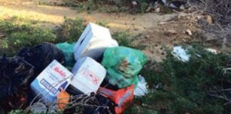 Hòmber ta basha sushi banda di Lagun