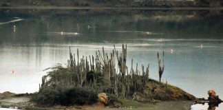 Bunita bista den área di Gotomeer