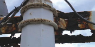 Brèketnan lus Stadion Antonio Trenidad den hopi mal estado