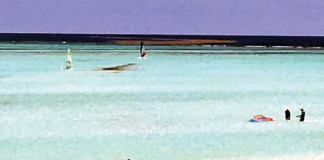 Kantidat grandi yerba di laman