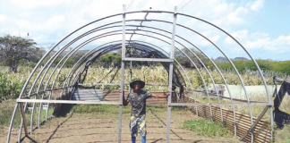 ‘Greenhouse’ pa berdura den Rincon