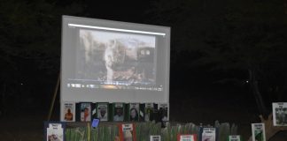 Sine Metro a resultá éksito grandi