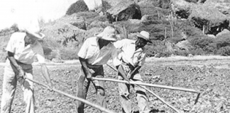 Rincon: Ayera pa Awe (3)