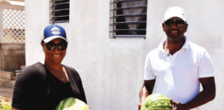 Kosechá di patia i milon