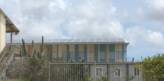 Pèrdida di entrada ta vislumbrá pa WEB