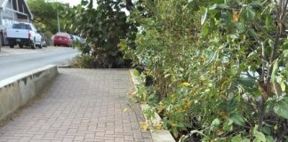 Akshon rápido pa situashon peligroso