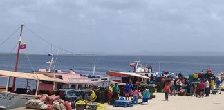 Abusu na Waf Chico Mercelina