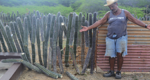 Destrukshon na Pos di Lasana