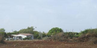 Menasa di inundashon bario Senkuria