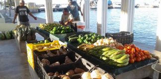 Bendementu bou di Plasa Machi Mimi reanudá