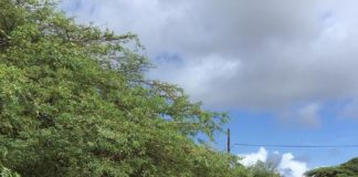 Rama ta tapa Kaya Tunio