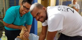 30% Mas studiante na MBO