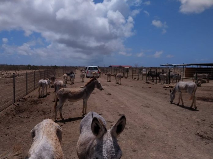 Villa Antonia na Donkey Sanctuary
