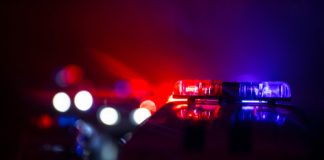 Destrukshon i ladronisia Polis detenshon