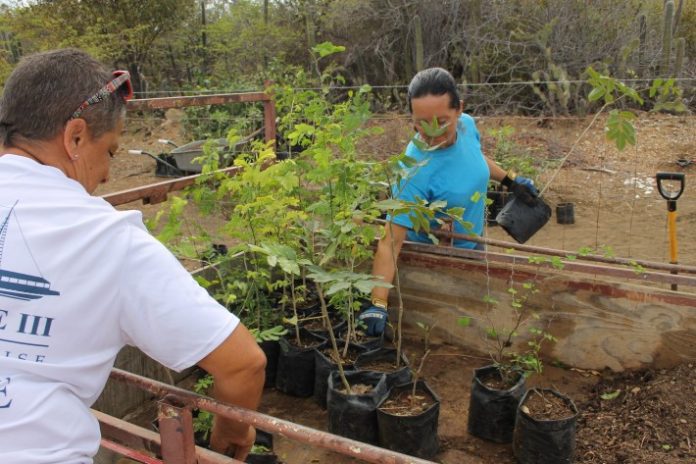 Morotin, área situá enfrente di Plasa Medio Ambiente Morotin.