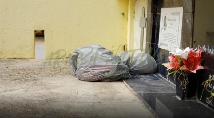 brua den santana na Aruba