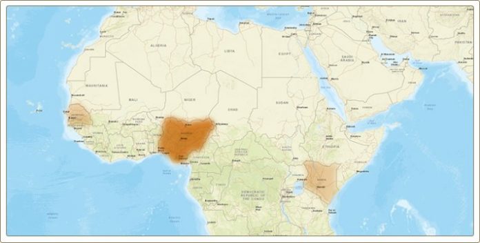 Parti grandi di Ben su raisnan ta tira pa Afrika.