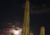 Bunita salida di vòlman