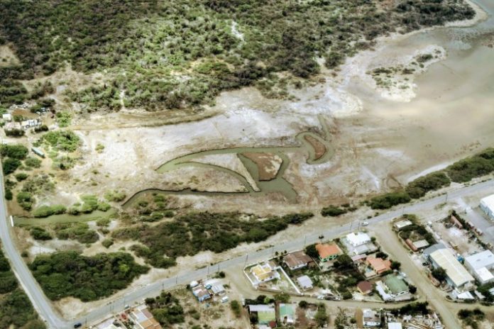 estado aktual di Saliña di Vlijt