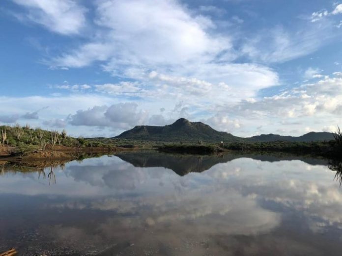 Bunita bista den Parke Washington