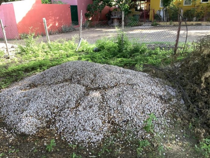E sitio na unda hopi aña pasá Pe Wanga tabata situá.