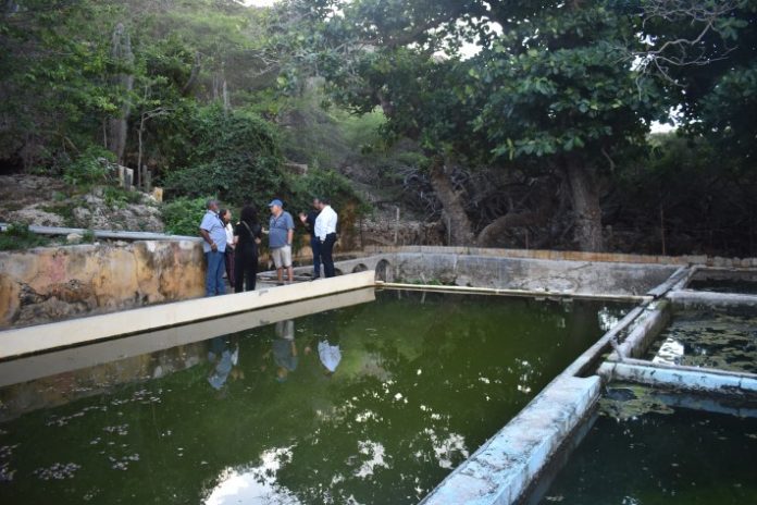 Gobièrnu ke kumpra Fontein