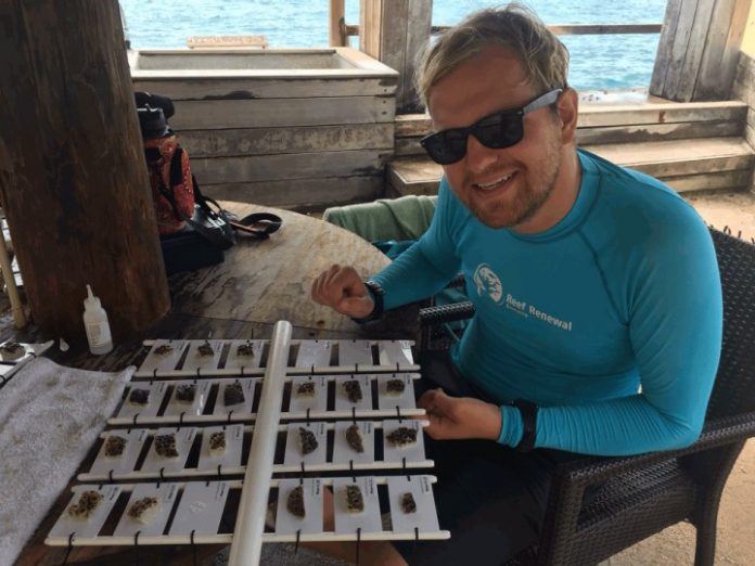 Kordinadó asistente di RRFB, Garrett Fundakowski