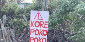 PIEU KONSIENTE