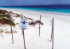 Sea Turtle Conservation Bonaire a haña e promé nèshi di turtuga