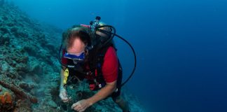 Akshon di limpiesa den laman