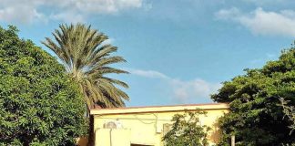 Beibi hañá morto den akohida