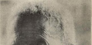 Kompa Can Koeks; Agensia funerario di Rincon (2)