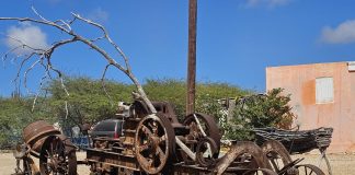 Promé krùsher di Boneiru