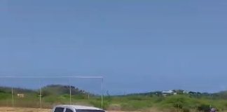 Vèlt Pariba pronto ku yerba