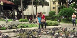 ‘Parque de las Iguanas’