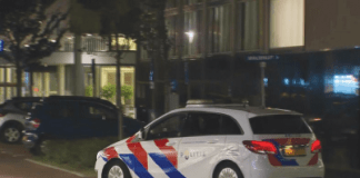 Molèster di hóben den besindario di Haarlem