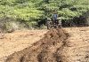 Den preparashon pa simadan grandi otro aña A plug kunuku di Shon Cain