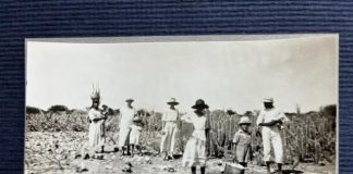 Isla misterioso (1)
