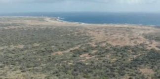 Plantashi Bolivia (4): Plannan i merkadeo