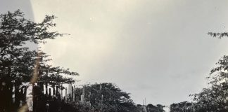 Kolekshon di foto interesante pa FuHikuBo
