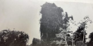 Isla misterioso (5) – Outor Alfons Gabriel Tradusí i adaptá pa Udo Lüsse i Bòi Antoin