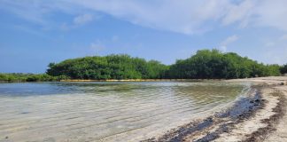 Minister Harbers: Konsekuensia derame petrolio minimal