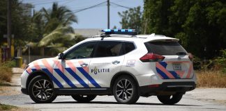 Bringamentu ta kondusí na detenshon