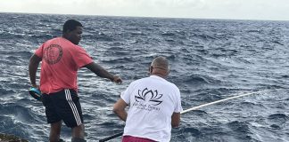 Piskadónan riba baranka