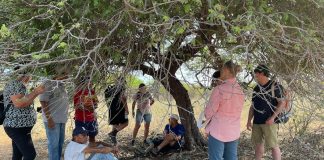 CHANTIWAWA RIBA RONDU