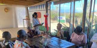 Donashon na grandinan