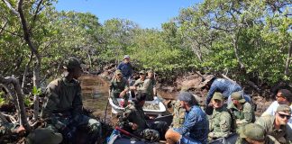 Sòldánan un biá mas a duna apoyo