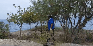 Ketu bai hasiendo bon trabou