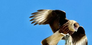 Warawara den tur su grandesa i bunitesa.